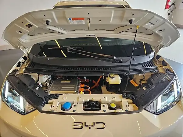 BYD Dolphin Mini - Imagem 17