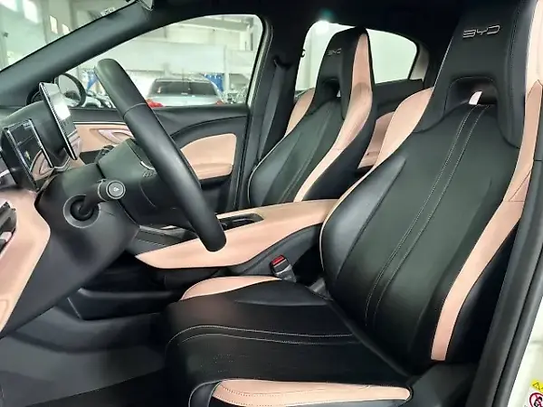 BYD Dolphin Mini - Imagem 5