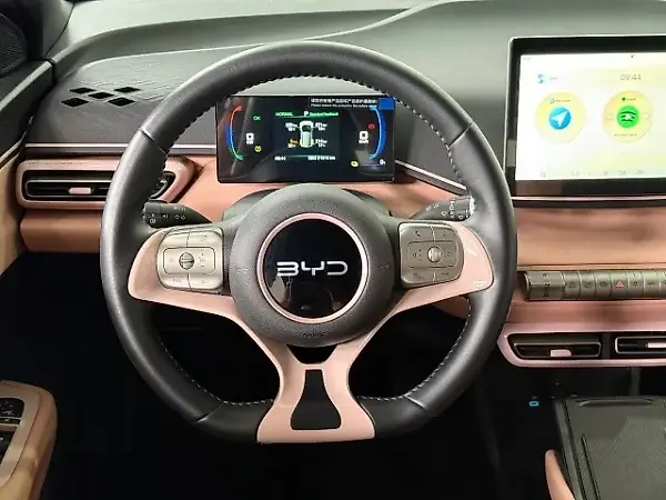 BYD Dolphin Mini - Imagem 11