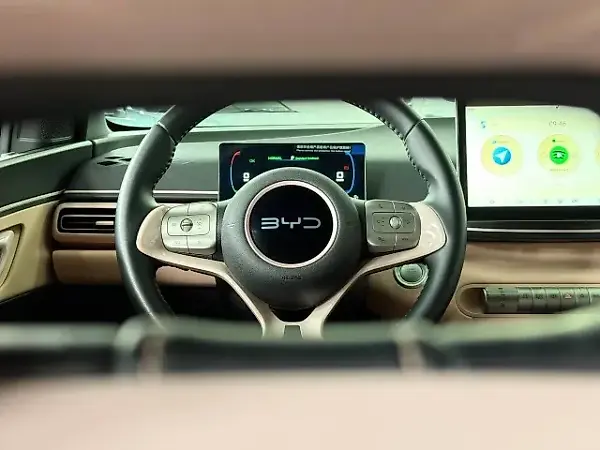 BYD Dolphin Mini - Imagem 13