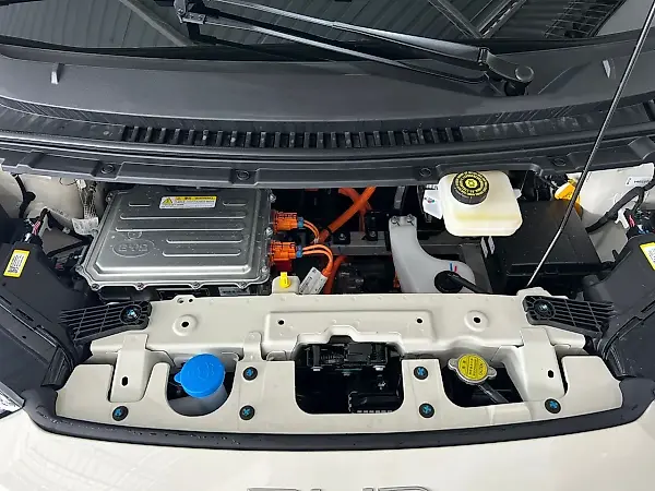 BYD Dolphin Mini - Imagem 17