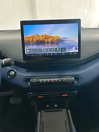 BYD Dolphin Mini - Imagem 14