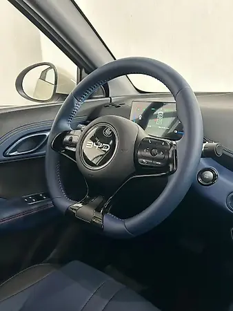BYD Dolphin Mini - Imagem 12
