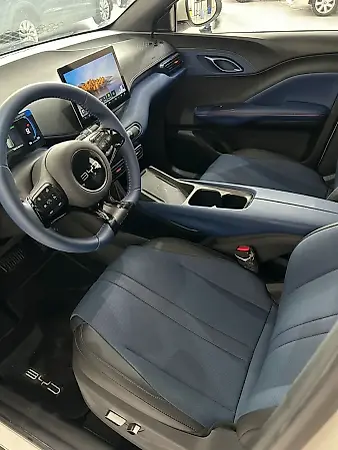 BYD Dolphin Mini - Imagem 13