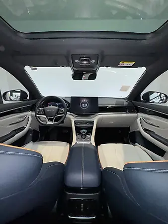 BYD Song Plus - Imagem 13