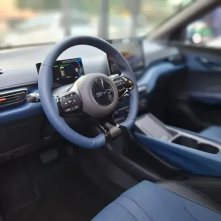 BYD Dolphin Mini - Imagem 13