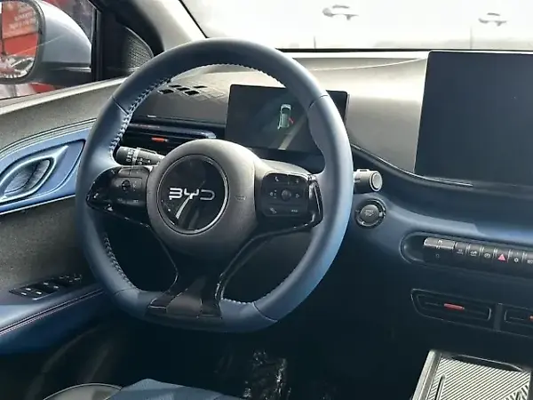 BYD Dolphin Mini - Imagem 11