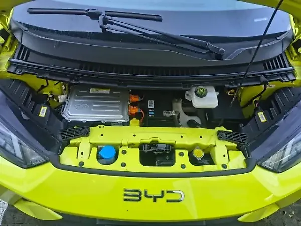 BYD Dolphin Mini - Imagem 9