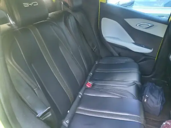 BYD Dolphin Mini - Imagem 14