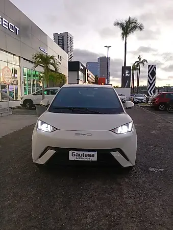 BYD Dolphin Mini - Imagem 1