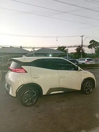 BYD Dolphin Mini - Imagem 3