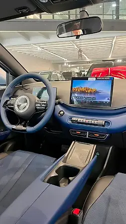 BYD Dolphin Mini - Imagem 11