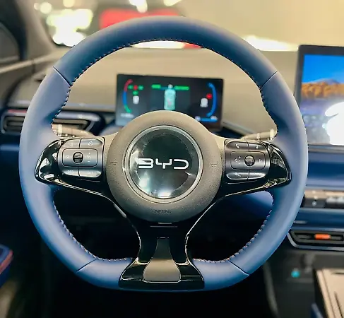 BYD Dolphin Mini - Imagem 9