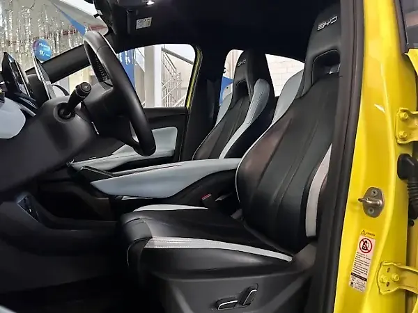 BYD Dolphin Mini - Imagem 11