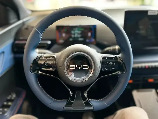 BYD Dolphin Mini - Imagem 12