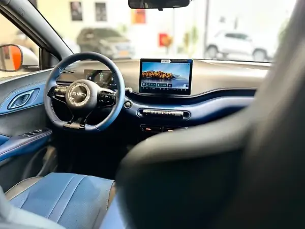 BYD Dolphin Mini - Imagem 15