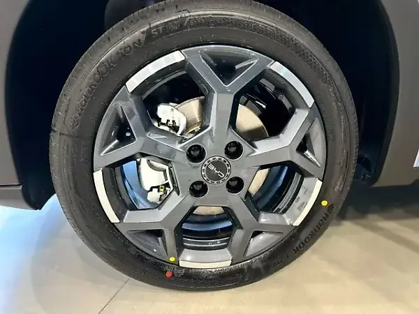 BYD Dolphin Mini - Imagem 17