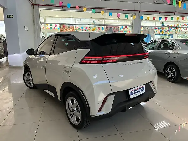 BYD Dolphin Mini - Imagem 10