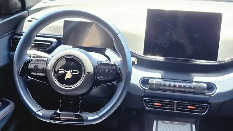 BYD Dolphin Mini - Imagem 11