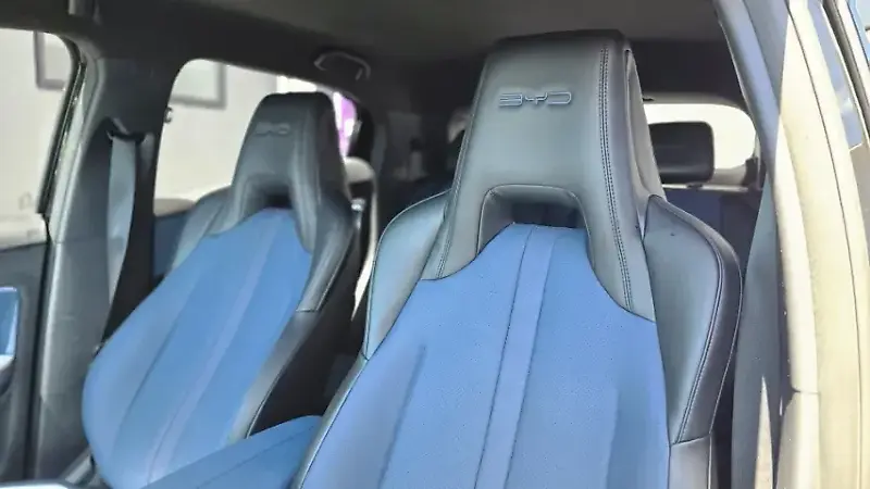 BYD Dolphin Mini - Imagem 15