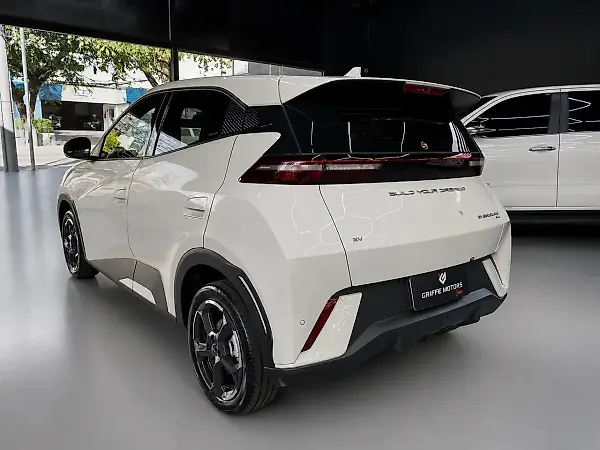 BYD Dolphin Mini - Imagem 1