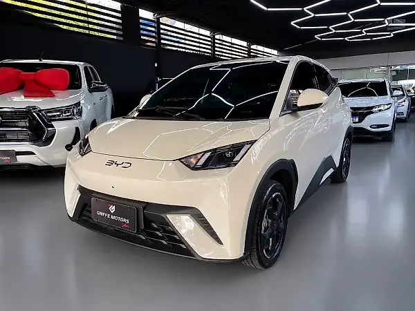 BYD Dolphin Mini - Imagem 3