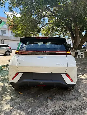 BYD Dolphin Mini - Imagem 4