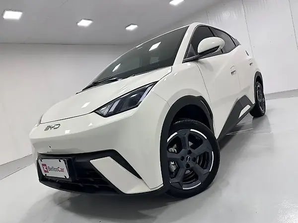 BYD Dolphin - Imagem 17