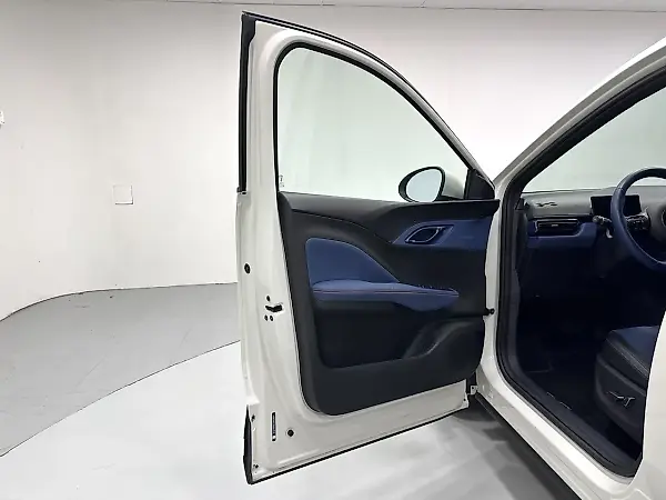 BYD Dolphin Mini - Imagem 15