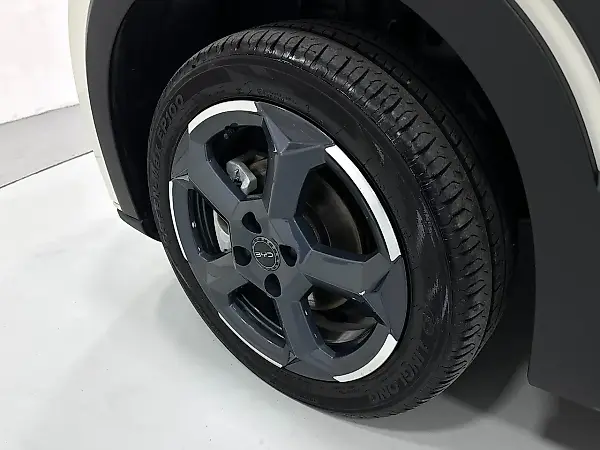 BYD Dolphin Mini - Imagem 16