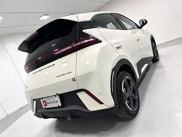 BYD Dolphin Mini - Imagem 20