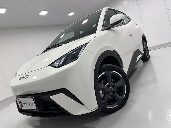 BYD Dolphin Mini - Imagem 19