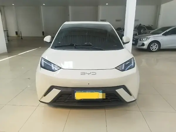 BYD Dolphin Mini - Imagem 1