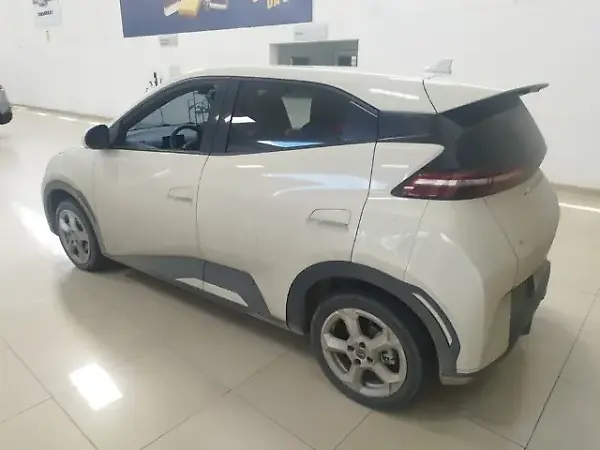 BYD Dolphin Mini - Imagem 3