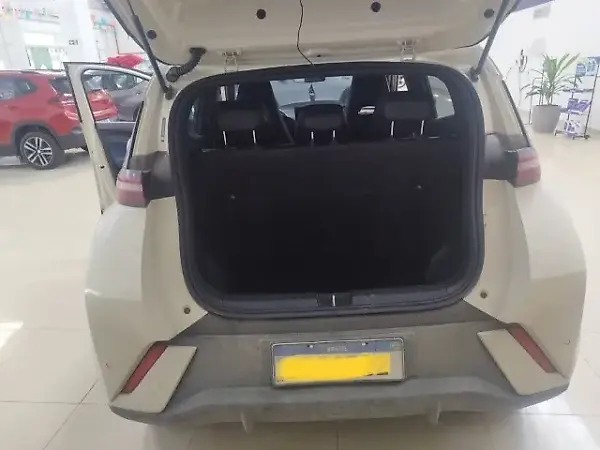 BYD Dolphin Mini - Imagem 9