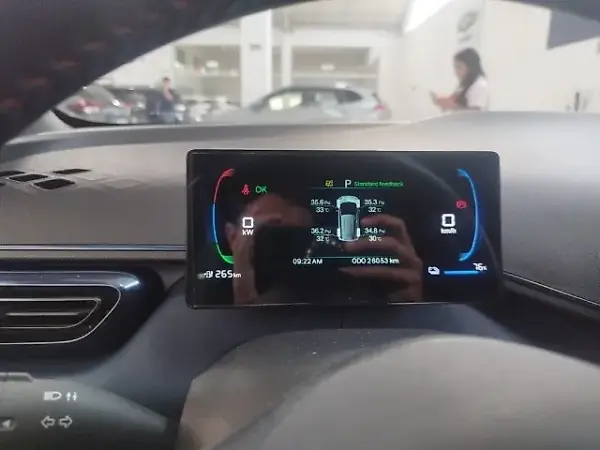 BYD Dolphin Mini - Imagem 11
