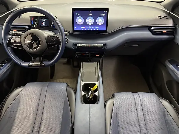 BYD Dolphin Mini - Imagem 8