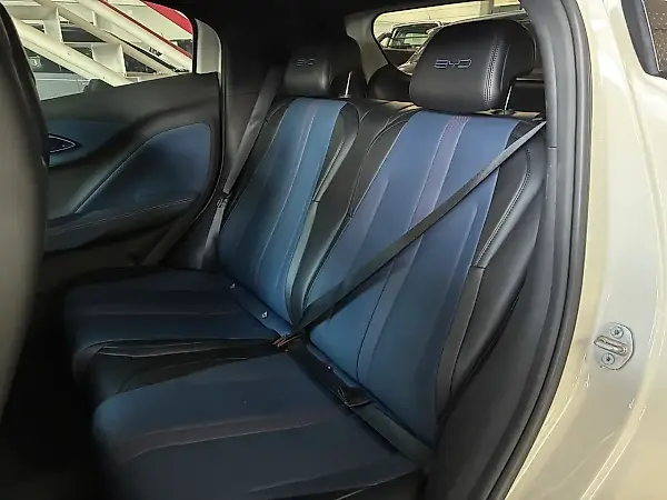 BYD Dolphin Mini - Imagem 10