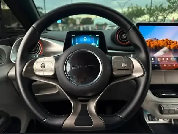 BYD Dolphin Plus - Imagem 6