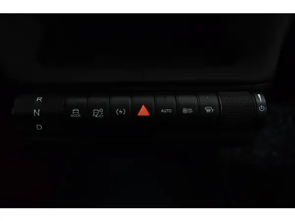 BYD Dolphin Plus - Imagem 13