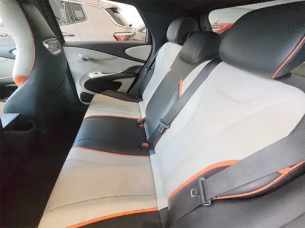 BYD Dolphin Plus - Imagem 9