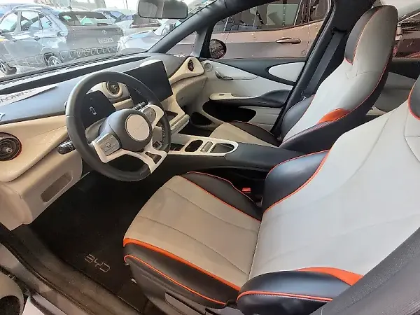 BYD Dolphin Plus - Imagem 8