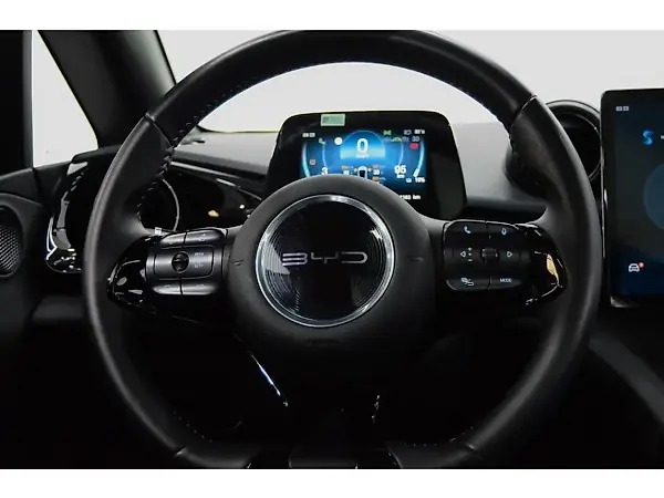 BYD Dolphin Plus - Imagem 13