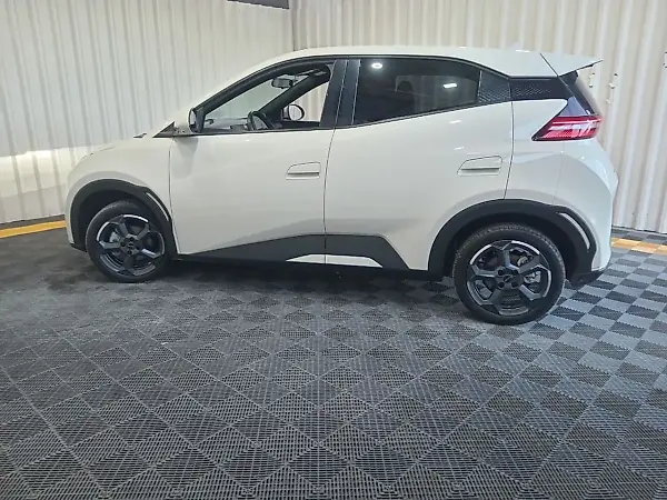 BYD Dolphin Mini - Imagem 1