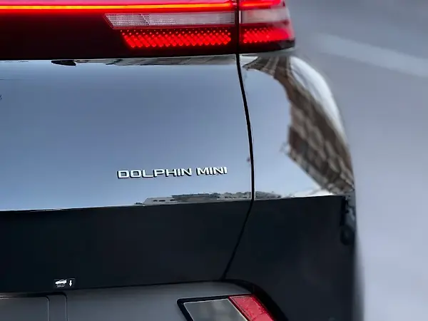 BYD Dolphin Mini - Imagem 14