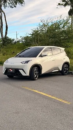 BYD Dolphin Mini - Imagem 1
