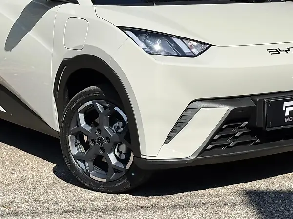 BYD Dolphin Mini - Imagem 3