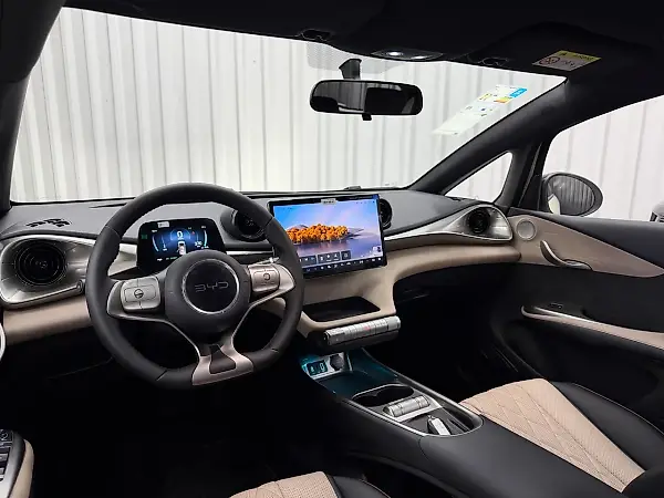 BYD Dolphin - Imagem 9