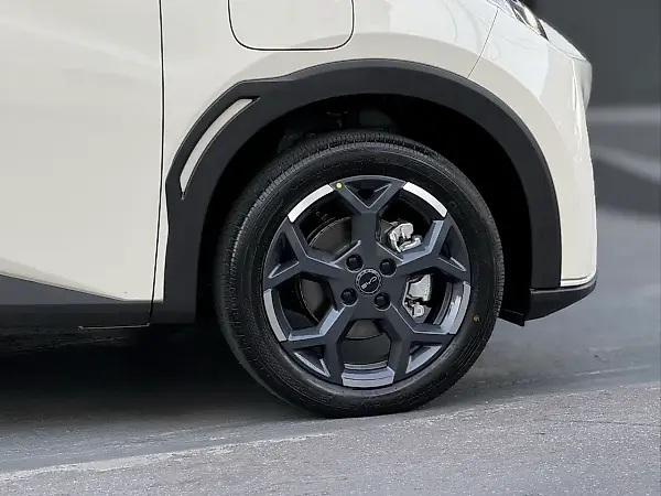 BYD Dolphin Mini - Imagem 14