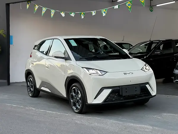 BYD Dolphin Mini - Imagem 16